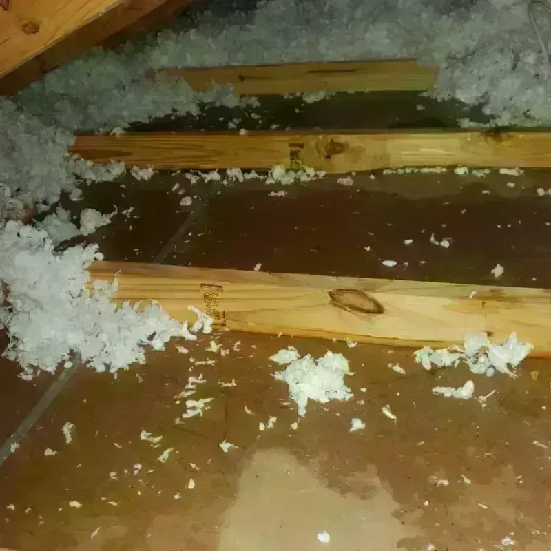 Attic Water Damage in Massac County, IL